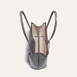 Goyard Bellechasse Biaude PM Bag Grey - Image 4